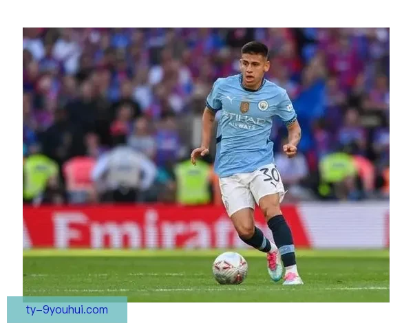 雨燕足球直播体育免费直播平台全面赛事精彩实时观看指南高清流畅